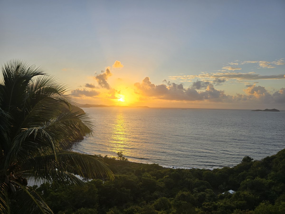 RobertKennedyJc's tweet photo. Before anything else, thank God for this new day.

His mercies are new every morning, His presence is near, and His love never fails. https://t.co/VwMEfeiQFf