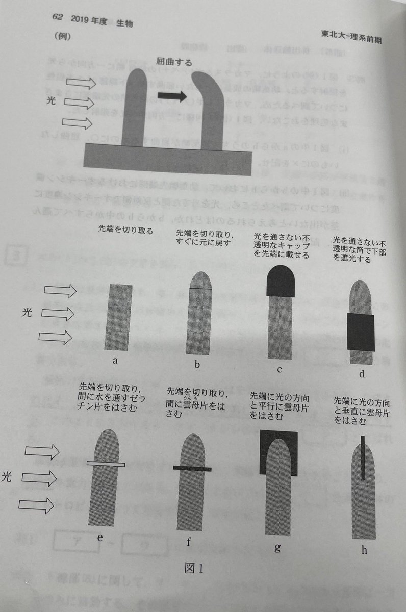 tactics1729's tweet photo. もう色々狙ってるとしか思えない東北大生物 https://t.co/qqyjbwESaX