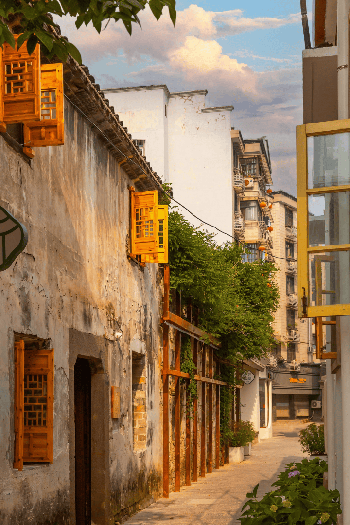 catherine52uo7's tweet photo. [Rainy afternoon, umbrellas dotting the old city alley—every step feels like a quiet little adventure. ]， https://t.co/SThBABXoSP