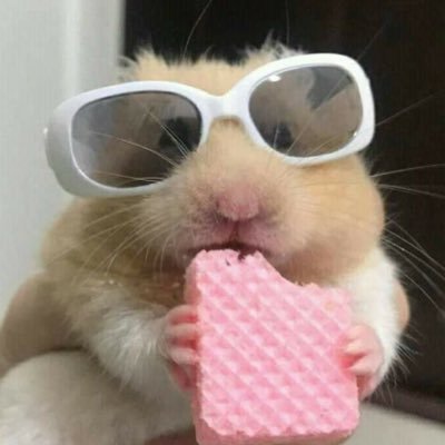 jorzly's tweet photo. @sorlite hadir kak! jika berminat, aku ada layout ulzzang faceless readystock buy 2 hanya 5k sudah dapat png &amp; jpg {edisi 8.8 flashsale} https://t.co/MSlhucYoGz