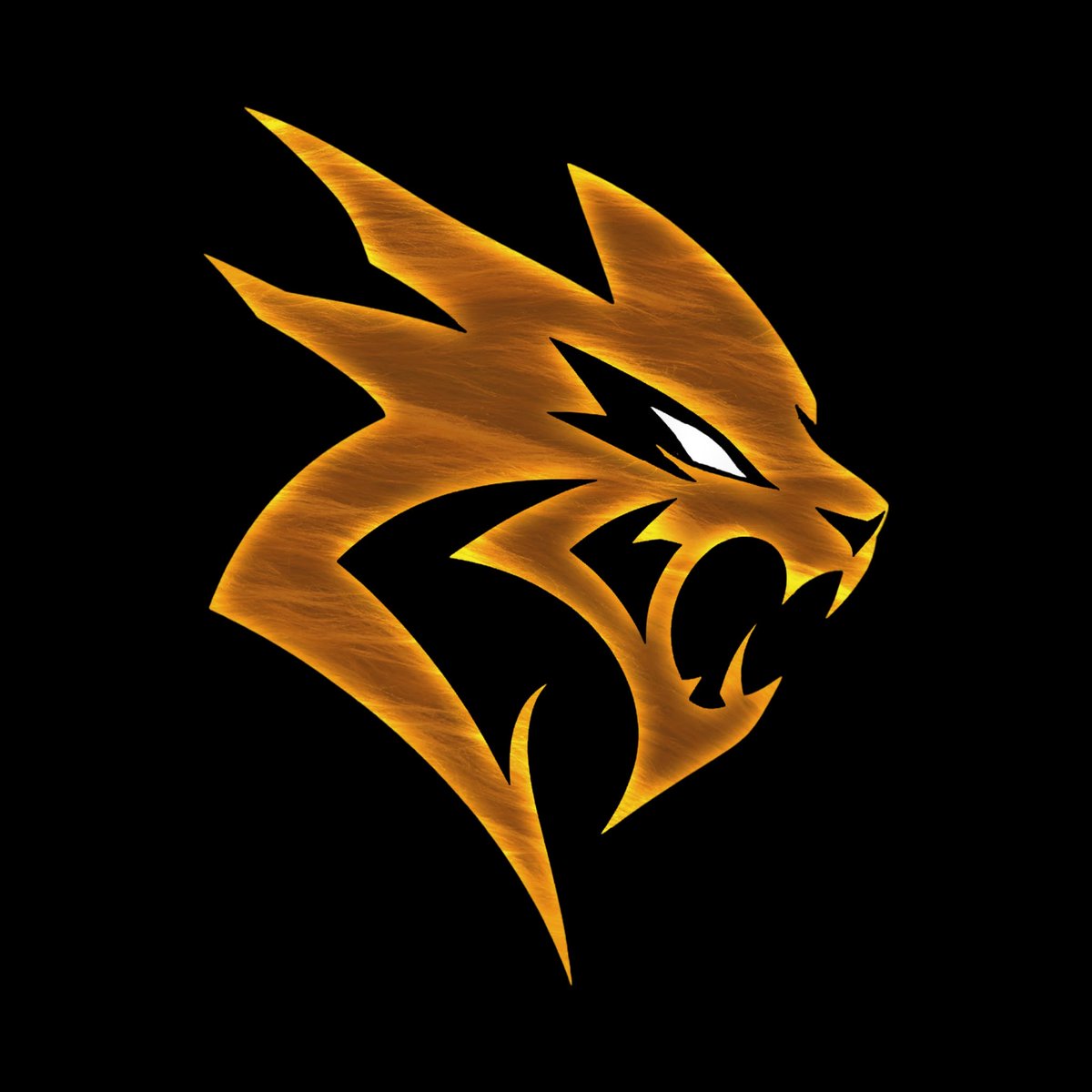 LIONOFMIGHT's tweet photo. We’re incredibly excited to finally show you our new team logo! 🦁

Make way for the Lion of Might.

#ForgedByCompetition #ClashRoyale https://t.co/aMAmk3oL71