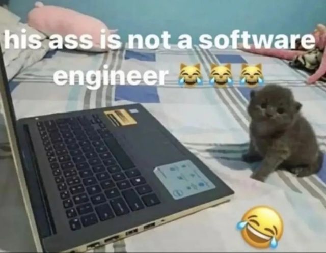 CatPosted's tweet photo. https://t.co/DfbqqtfTsD