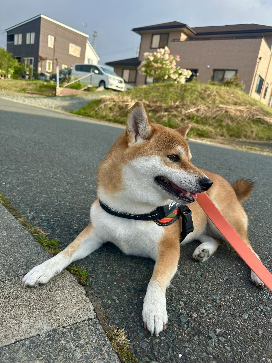 ren__h09's tweet photo. 帰省最高 https://t.co/1mPEXSuVUX
