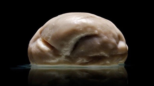 7ZFECBCL3dw's tweet photo. @FlatEarth_TW As smooth as your brain. 😝 https://t.co/AcINjzTG63