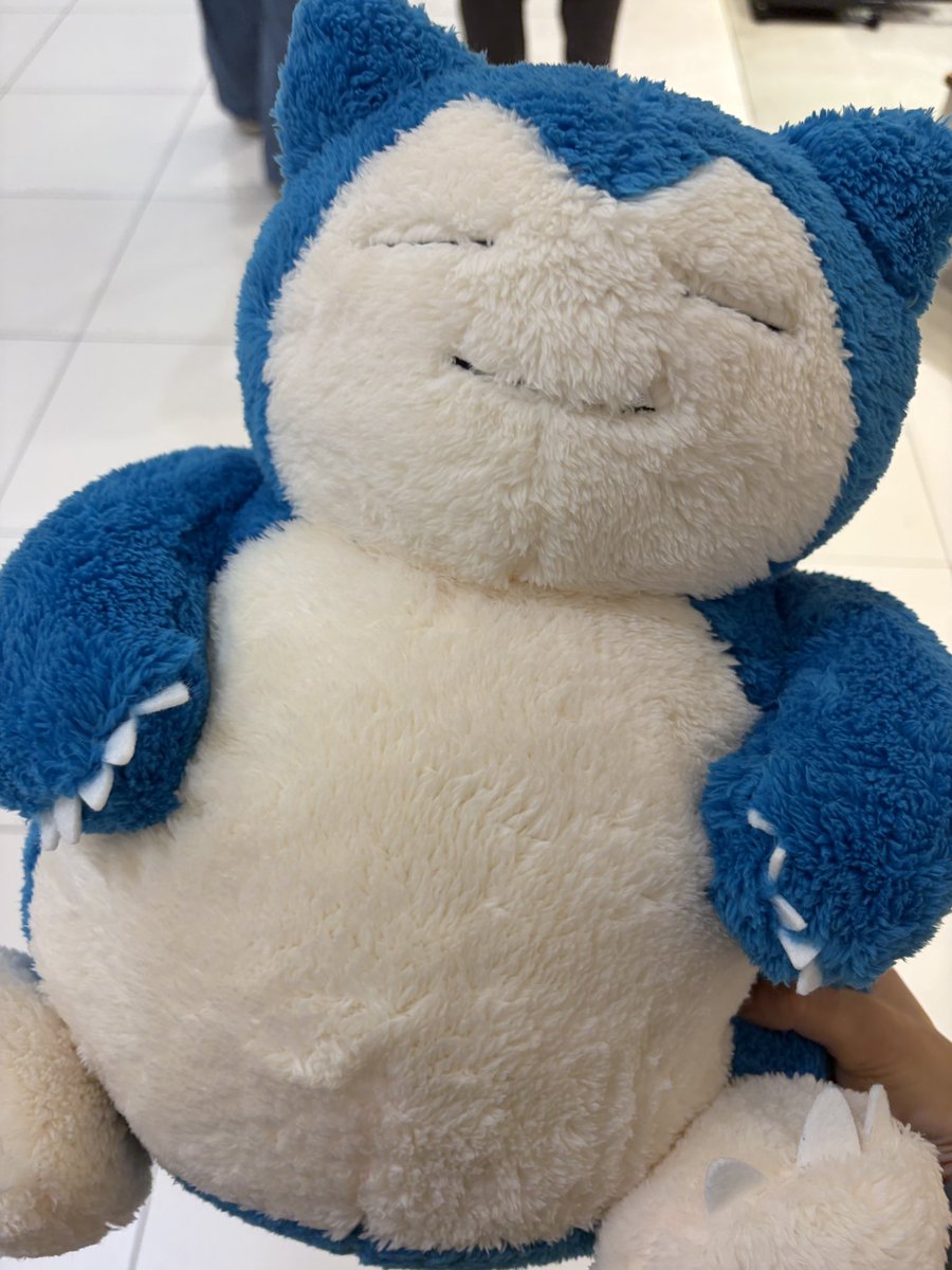 kb__143's tweet photo. 最近増えた家族( ⸝•ᴗ•⸝)♡ https://t.co/t1Pr2TwPpv
