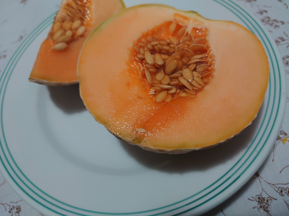 aitaliamoci's tweet photo. 家で採れたメロン🍈
これも放置栽培。Piccolo 🍈 
収穫前には水をやらずとかあるみたいだけど、すぐに収穫😆
Mangiabile😋 https://t.co/V6VyAbeAP2