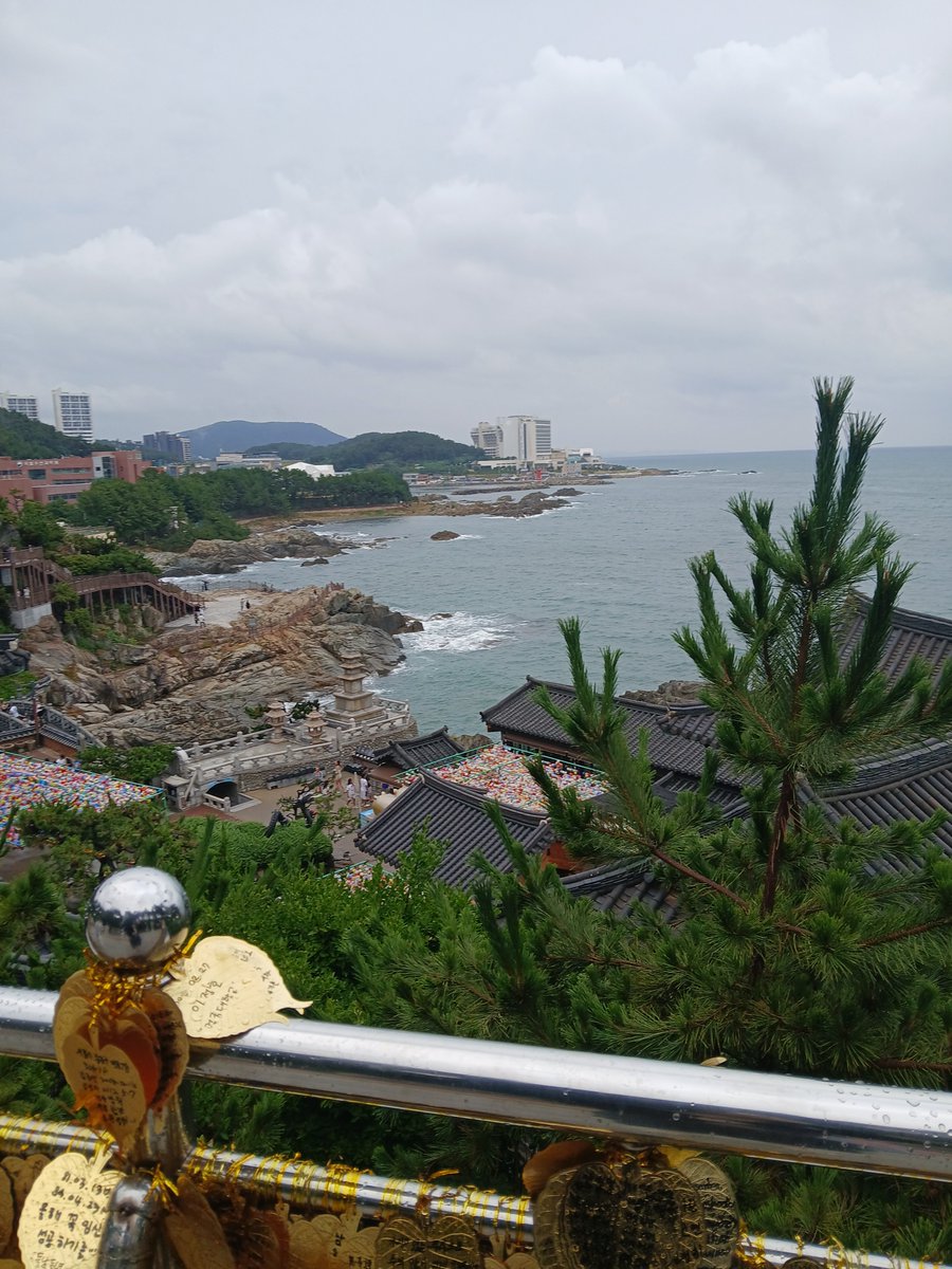 tjsha20's tweet photo. 해동용궁사 비올때 https://t.co/6OBqKvR1Za