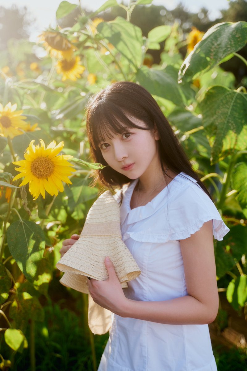 nagi_ysgl's tweet photo. 🌻 https://t.co/kOHl46kviy