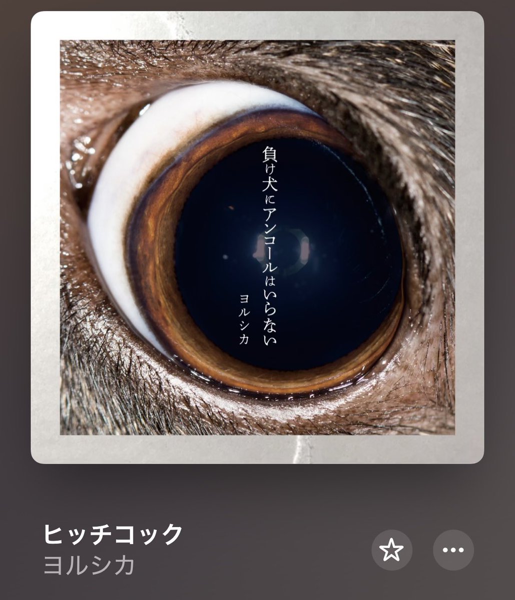 jupiter_0115's tweet photo. 夜の部セトリ
ヒッチコック/ ヨルシカ
ハイドアンドシーク/ 初音ミク
Believe in ourselves / LiSA

#Sakurarium #さくらりうむ向日葵 https://t.co/NnMfKnu5cv