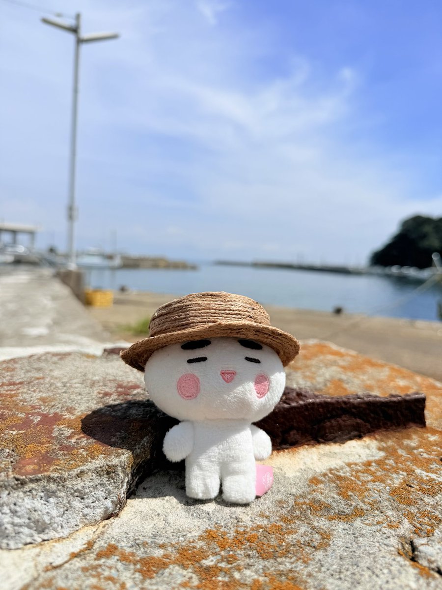 iga_riri's tweet photo. 漁港回りも面白かった〰️なにかするわけじゃないけど...漁船眺めたり、漁港の匂いを堪能したり(笑)
高速パーキングのアジフライ定食が美味しかった😋 https://t.co/Fd2pj6pFQR