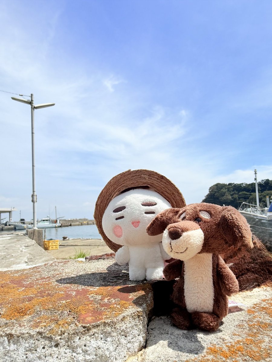 iga_riri's tweet photo. 漁港回りも面白かった〰️なにかするわけじゃないけど...漁船眺めたり、漁港の匂いを堪能したり(笑)
高速パーキングのアジフライ定食が美味しかった😋 https://t.co/Fd2pj6pFQR