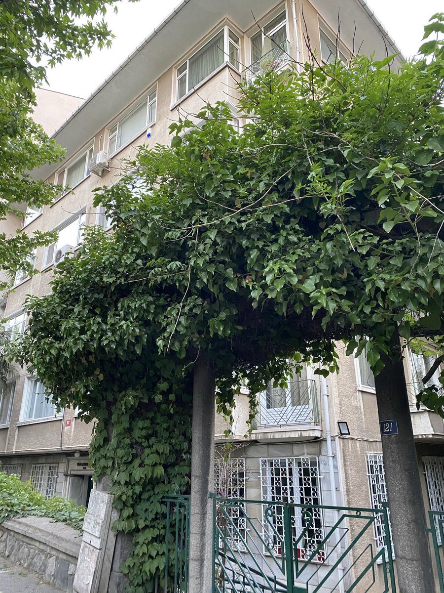 emreerbirer's tweet photo. Açgözlü ve rant peşindeki vizyonsuz mal sahibi komşularım yüzünden 1950’lerde Ermeni bir mimar tarafından Moda’da insan ölçeğinde ve özenle yapılan canım apartmanımız yıkılacak. O kadar kızgın ve üzgünüm ki. https://t.co/vrXEMHkqrZ