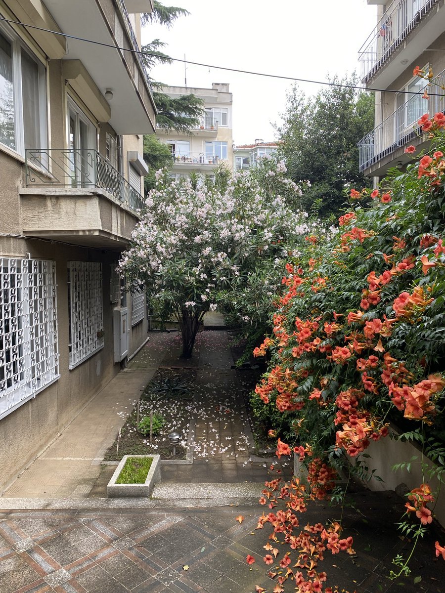 emreerbirer's tweet photo. Açgözlü ve rant peşindeki vizyonsuz mal sahibi komşularım yüzünden 1950’lerde Ermeni bir mimar tarafından Moda’da insan ölçeğinde ve özenle yapılan canım apartmanımız yıkılacak. O kadar kızgın ve üzgünüm ki. https://t.co/vrXEMHkqrZ