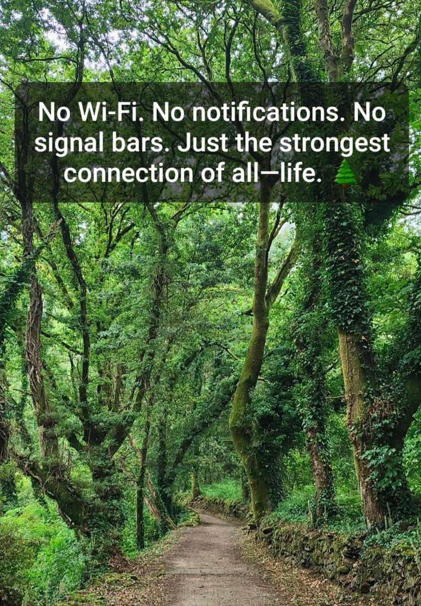 arboreteum's tweet photo. #GreenCrypto #ReFi #Arbitrum #DeFi https://t.co/cHrXHzsMWv
