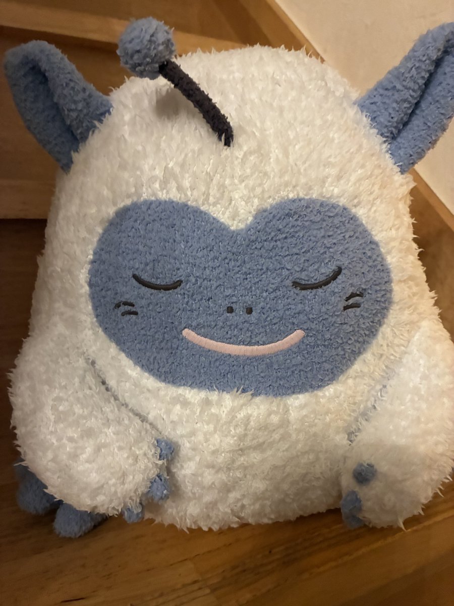 YUUSADQ's tweet photo. ジェラピケのわたぼうのぬいぐるみ届いたー✨
正式名称はお昼寝クッションw
めっちゃふわふわでかわいい🥰
ベビーパンサー買えなかったら妹にわたぼうって子もかわいいと思うよって言われたけど想像以上にかわいかった♡｡･ﾟ大切にします！
2枚目のAIイラストはソラちゃんの膝小僧がおもしろい🤣 https://t.co/CblggDHp3E