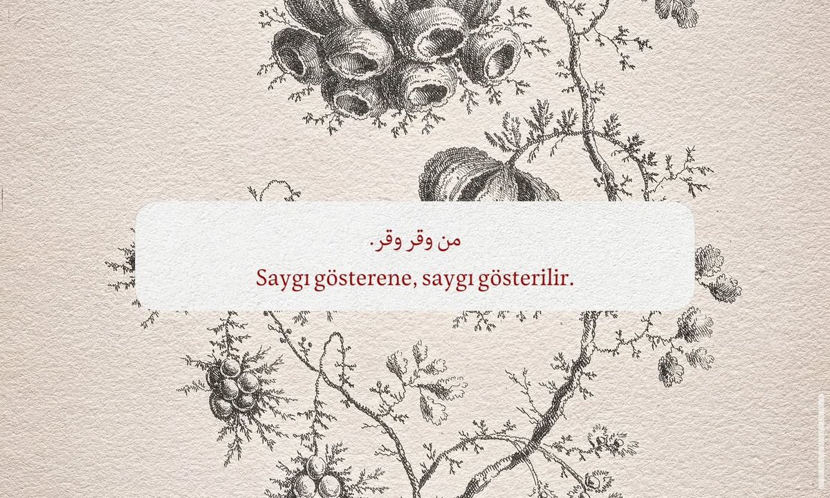 sevgilikendin's tweet photo. https://t.co/ku9cwKDA2X