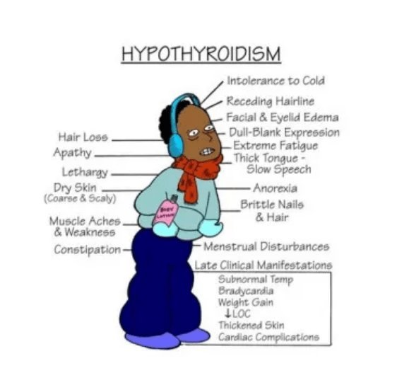 questmoosa's tweet photo. Your body tells a story, one of low thyroid hormone (T3):  

- Dry skin: Low T3  
- Hair loss: Low T3 
- Thinning eyebrows: Low T3 
- Acne: Low T3 
- Always tired: Low T3 
- Cold hands and feet: Low T3  

Here are 11 foods that lower your thyroid hormone T3 levels (AVOID THESE).  

🧵: