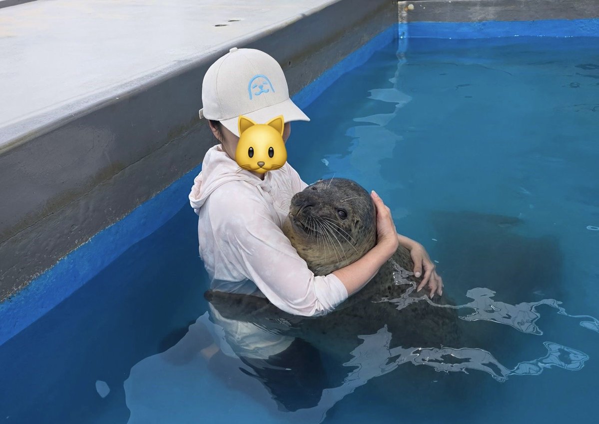 azu_kyousei's tweet photo. ついにアザラシ抱っこしてしまった🤩
すごくしっかりたっぷりハリのあるボディで、腰に回したお手手でしっかりとギュッってハグしてくれた🥹💓
目の前でおハゲの様子もしっかり見れて、鼻息もかけてもらえて、夢のようなひとときだった…🥹
#南知多ビーチランド https://t.co/VOW2nn0mwJ