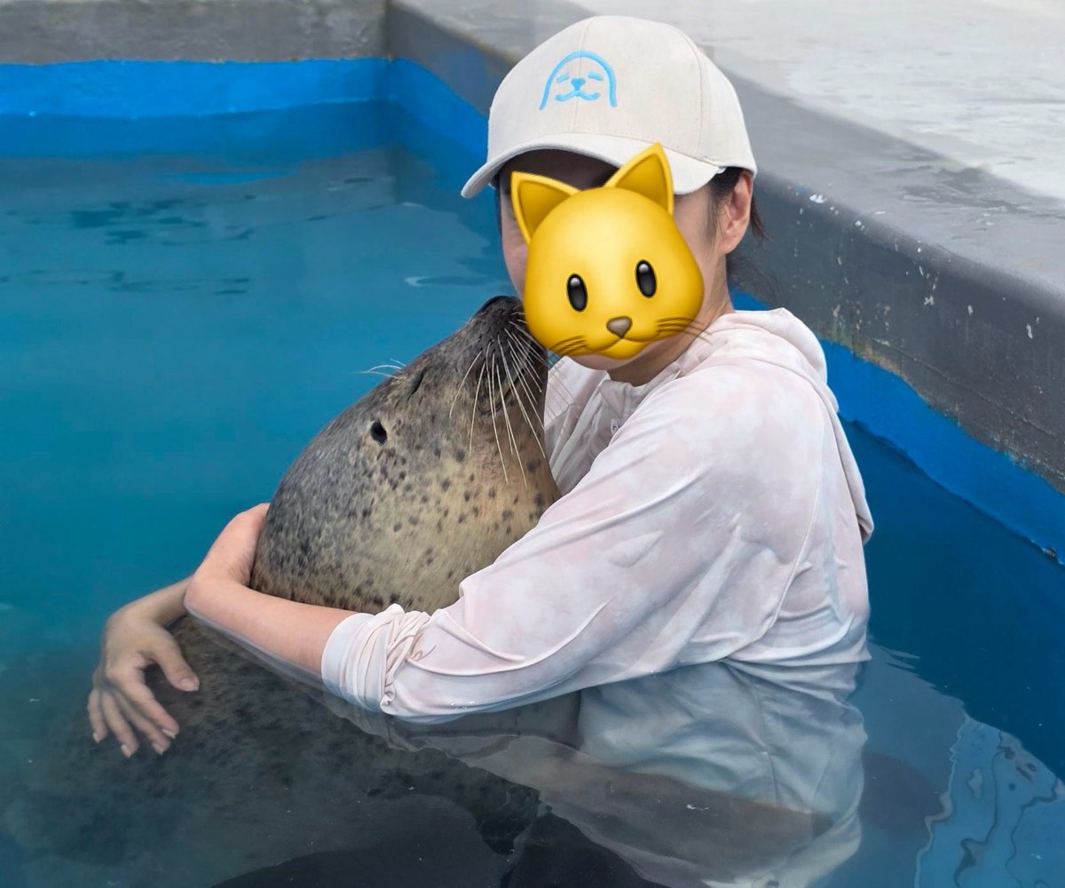 azu_kyousei's tweet photo. ついにアザラシ抱っこしてしまった🤩
すごくしっかりたっぷりハリのあるボディで、腰に回したお手手でしっかりとギュッってハグしてくれた🥹💓
目の前でおハゲの様子もしっかり見れて、鼻息もかけてもらえて、夢のようなひとときだった…🥹
#南知多ビーチランド https://t.co/VOW2nn0mwJ