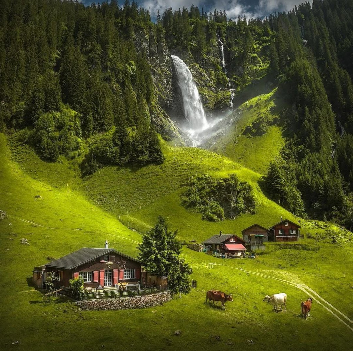 flower6260's tweet photo. Switzerland https://t.co/2JpevqZRCk