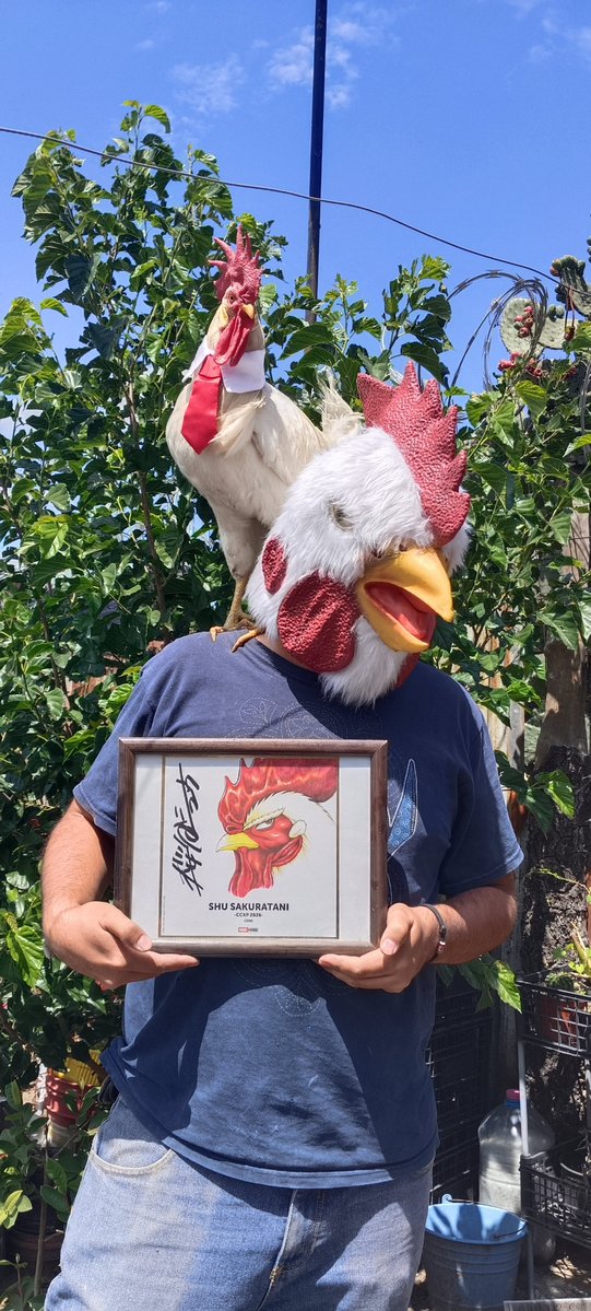 frikygenerico's tweet photo. Banda gallarda, ya se que la #CCXP fue hace mucho pero no podía conseguir un marco y la corbata del Sr. Pollo tardo mucho en llegar, así que mejor tarde pero sin sueño, le agradecemos al maestro @shu_sakuratani por el autógrafo 🐔 https://t.co/oy6hqyLsLB