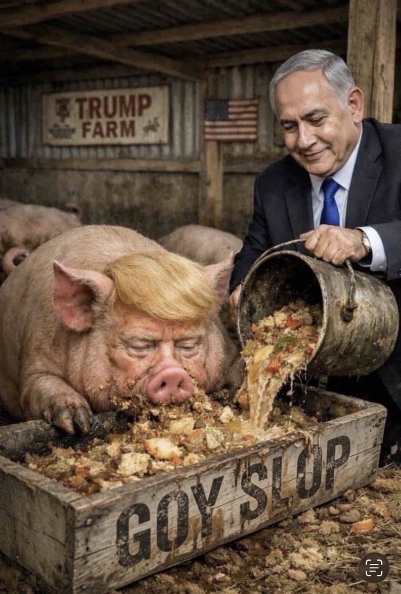 GrumpyFish310's tweet photo. @IvankTrumprl You mean the con artist https://t.co/0ecsz9Bhjs