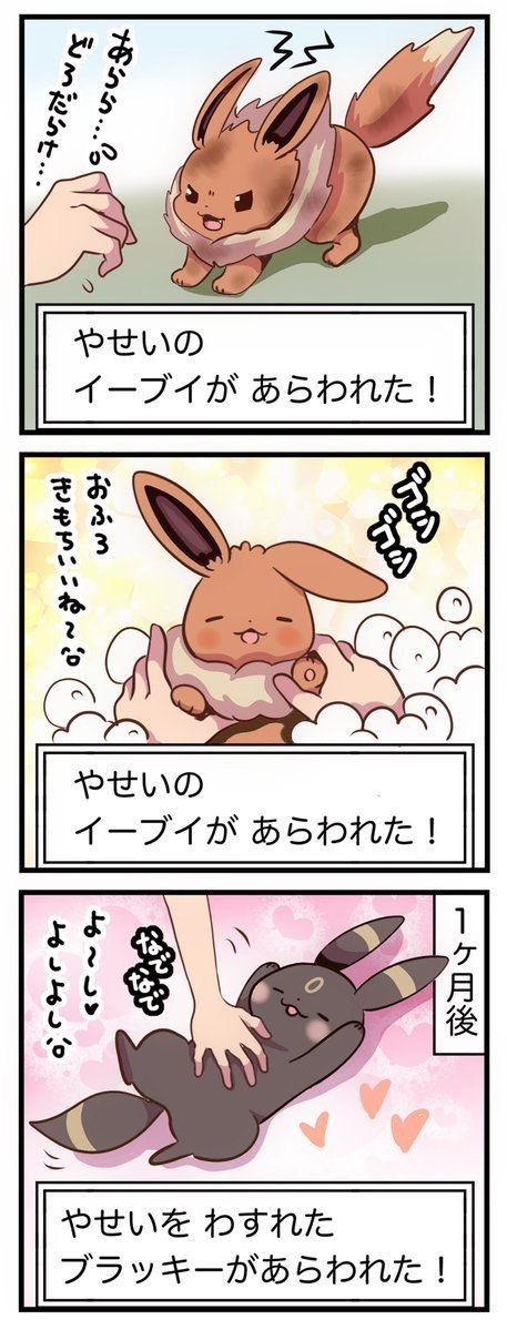 PokeTalesHQ's tweet photo. https://t.co/64LCYfOqyb