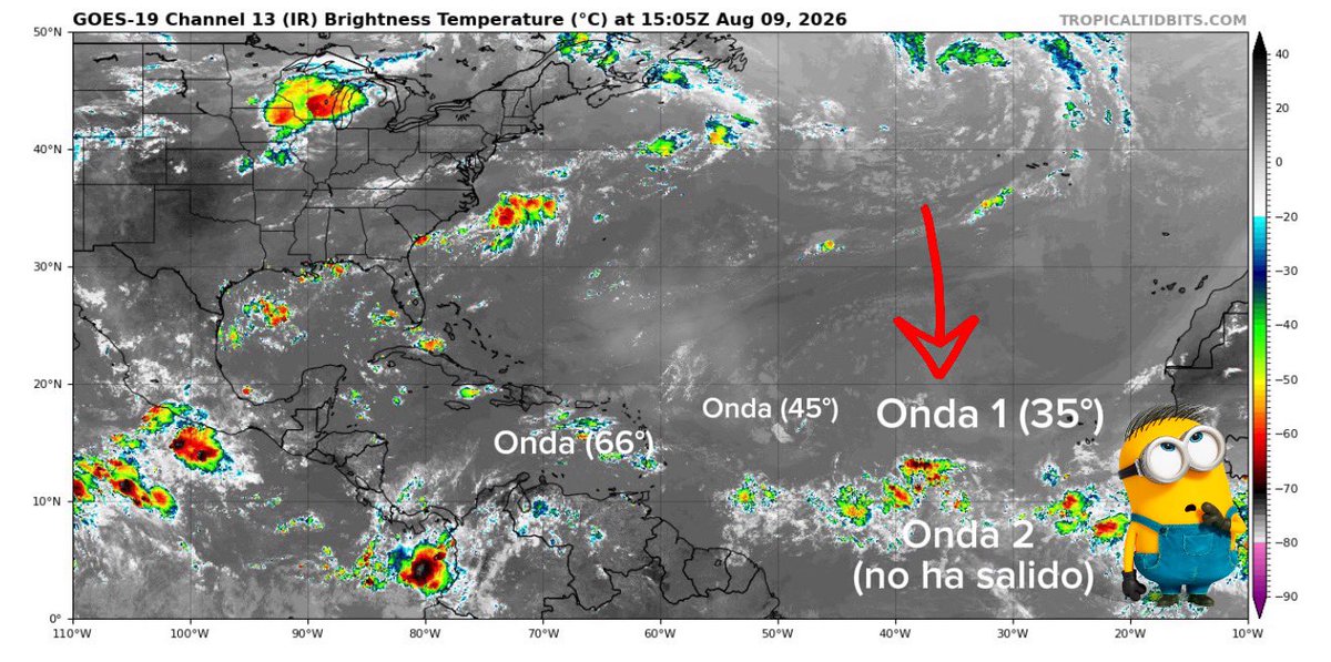 adamonzon's tweet photo. 11:45 am domingo, 9 de agosto de 2026:
Hay varias ondas tropicales en el Atlántico, y una está próxima por salir de Africa. Una de estas está pasando hoy por Puerto Rico y es débil. Las ondas tropicales que tienen probabilidad de desarrollo ciclónico son dos: 
🌀 Onda 1 (cerca de la longitud 35°O) tiene 0% de probabilidad de 2 días y 20% de probabilidad en 3-7 días. Se mueve hacia el oeste por el Atlántico y podría desarrollarse gradualmente, aunque espero que los vientos cortantes en los niveles altos se tornen menos favorables cuando se acerque a las Antillas Menores, más adelante esta semana.

🌀 Onda 2 (aún no ha salido de las costas de Africa) tiene 0% de probabilidad de 2 días y tiene 40% de probabilidad de desarrollo 3-7 días. Pudiera convertirse en depresión tropical en esta semana mientras cruza el centro del Atlántico, pero hay que esperar a que salga al océano. 

No anticipo amenaza a Puerto Rico en este momento basado en guías de modelos, pero conviene seguir observando. El conjunto de modelos europeo ECMWF muestra una señal importante de actividad ciclónica desde África hacia el Atlántico e incluso probabilidades por encima de lo climatológicamente esperado. 

Modelos de inteligencia artificial presentan escenarios de desarrollo, movimiento inicial hacia el oeste, y luego noroeste antes de llegar a las Antillas para la onda 2. A la onda 1 la debilitan antes de llegar a las Antillas. 

Recuerde: estos mapas no son trayectorias de ciclones hacia Puerto Rico sino posibles escenarios a varios días de distancia y todavía existe mucha incertidumbre. Estamos entrando en la época climatológicamente más activa de la temporada de huracanes, y es importante estar atentos. 

😉No hay códigos de galletas Rovira y café activados.