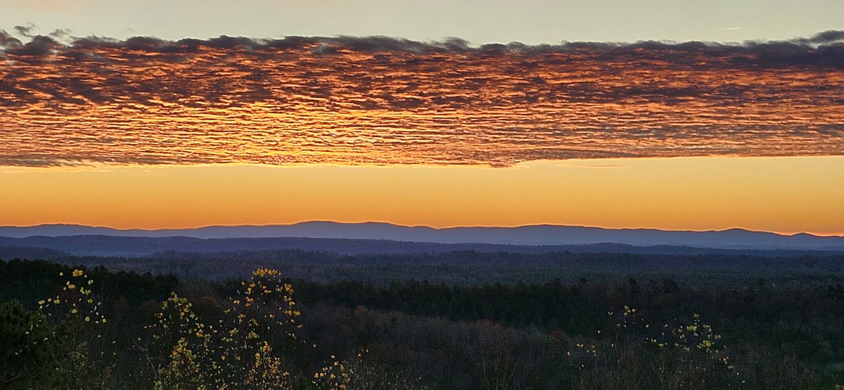 RETSET_Capital's tweet photo. @AnthonyCrudele Nice view Deli, This is a sunrise from a property of mine in North Central Alabama. God's artistry and his blessings are all around us brother!  #AWNTL https://t.co/eJFgtesw3I