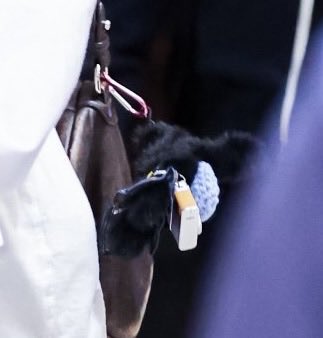 JNJMEnt's tweet photo. JN tu bukan tipe orang yg suka gantung2 bagcharm, jarang bgt pasti kalian liat 😭 tapi ini couple an bagcharm sama nana 🥹 nana pinky, JN item huhu -jnjm
https://t.co/ljFKUac4QV
