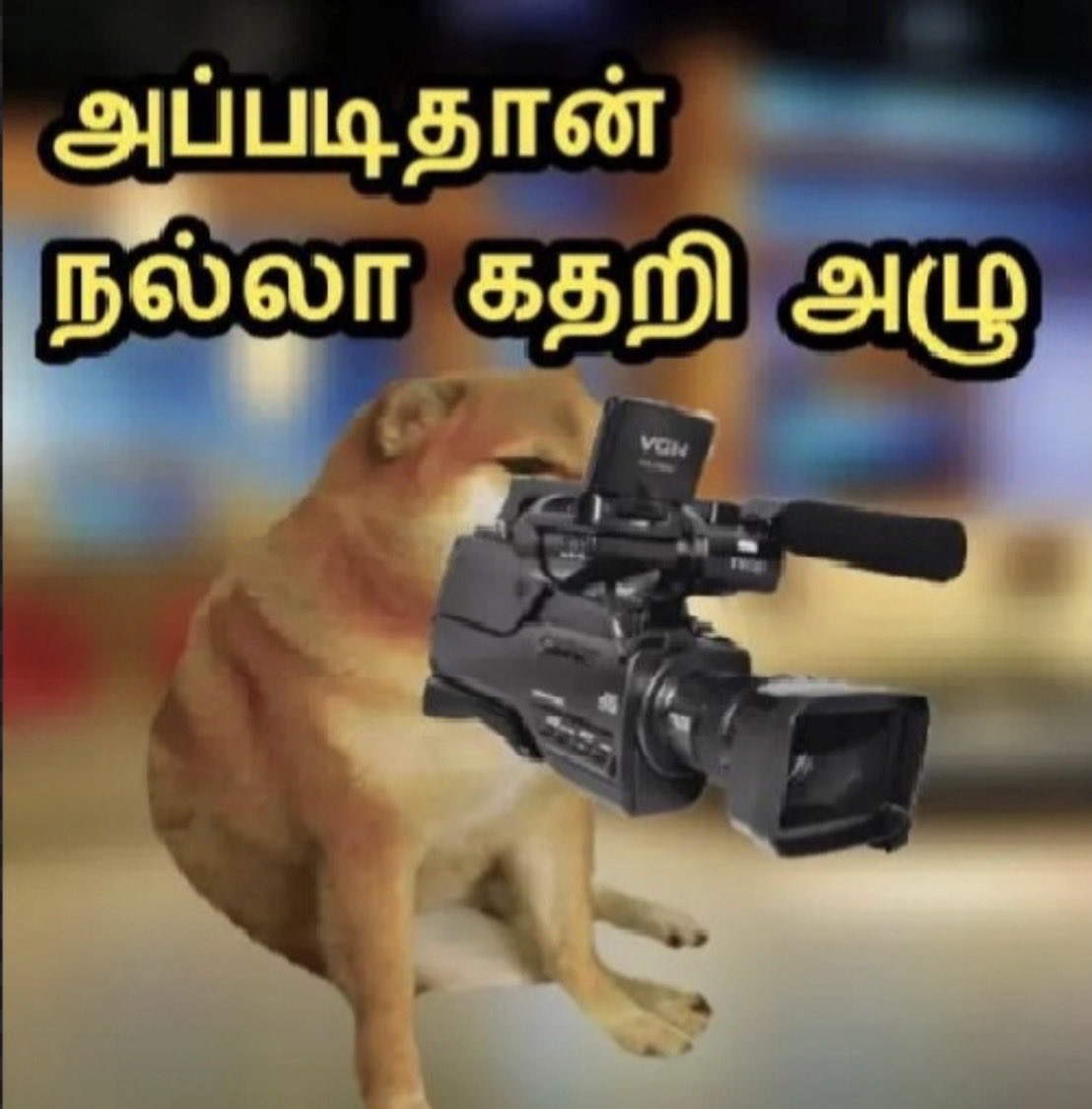 decidedpenalty7's tweet photo. @Anbanantham_A @CMOTamilnadu 😂😂🤡 https://t.co/ppsybjws9U