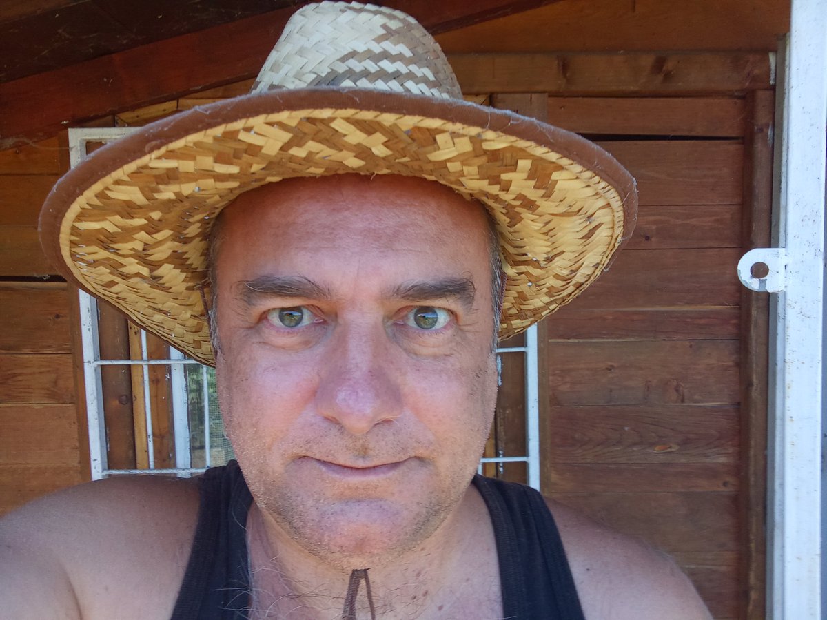 LeonidZuvic's tweet photo. Срби, Енглези, шта је? Мислили сте да ћу заувек за вас да се жртвујем? Последњи пут сам на мору био 2010-е, последњи пут са женском особом 2011-е! Доста је било! Људске сте, народне, државне, културне и научне руине! Прогањаће вас довека свете гробнице светих владара српских! https://t.co/heSblu6YYR