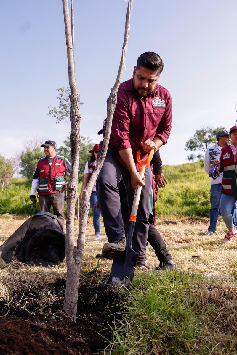 Adolfo_Cerqueda's tweet photo. En Neza, plantamos más de 2500 árboles de distintas especies en la Jornada Nacional de Reforestación que promovió nuestra Presidenta @Claudiashein 🪴🌳

Gracias a las vecinas y vecinos que hoy se sumaron a esta iniciativa en los distintos puntos del municipio, propósito es poner un granito de arena para mejorar la calidad del aire y recuperamos nuestros espacios públicos. Continuaremos impulsando las medidas que beneficien al medio ambiente #PorAmorANeza ❤️
