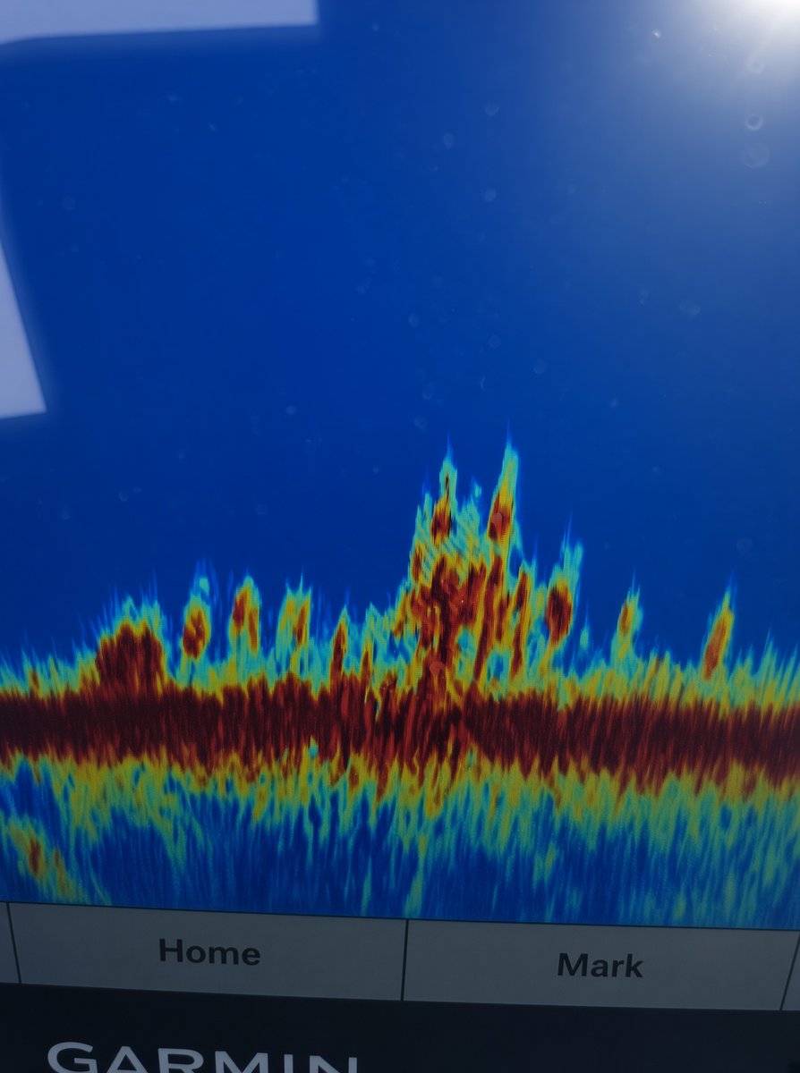 fishflint's tweet photo. Grok, remove all the water spots from my screen. #ONEM https://t.co/FCmLmq46Vj