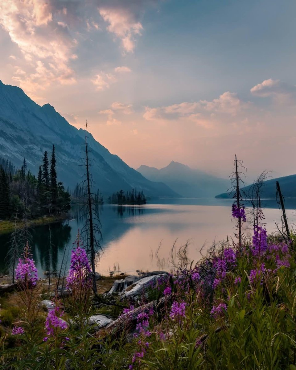 danschyk's tweet photo. Medicine Lake, Jasper https://t.co/m2K9mNgZet