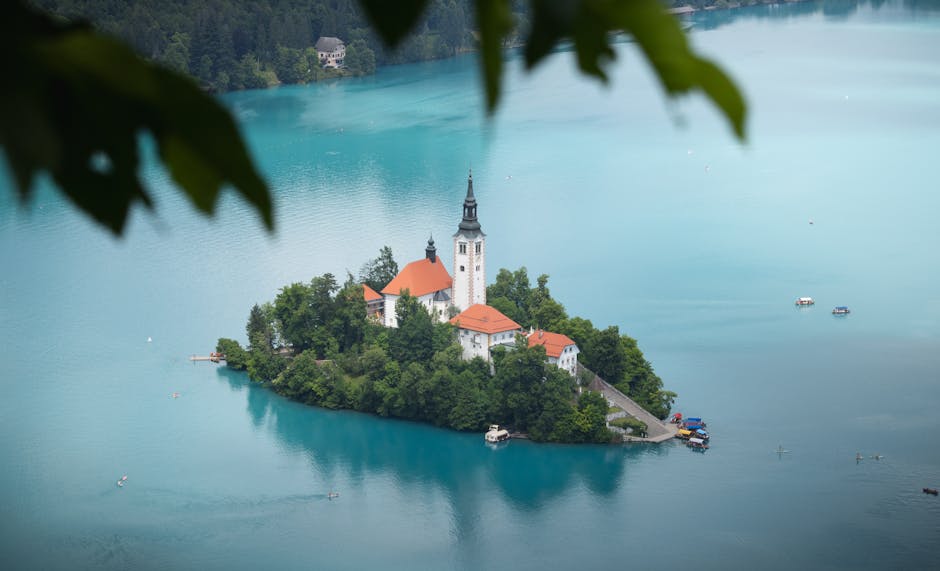ren_roy50424's tweet photo. فقط العطاء يخلق الهدوء يمكن أن في ضوء الصباح. morton loma🎪 https://t.co/jEQOdtak1c