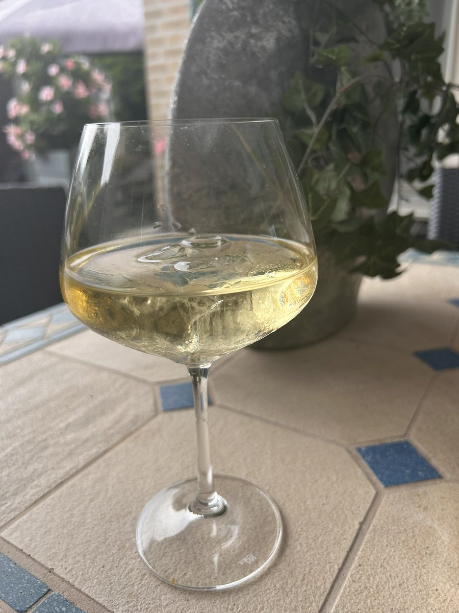 Frans_Strik's tweet photo. Om bij weg te dromen nu er -zij het zeer matig- regen🌧️valt in ons #Cranendonck🧡bij een fantastische temperatuur. Glas droge #Riesling en wijndruiven aan de rank. Komt het nog ooit tot zelfproductie van zo’n 50 flessen? Wie zal het zeggen. Niet voor 2029 in ieder geval. https://t.co/S1RQEcn447