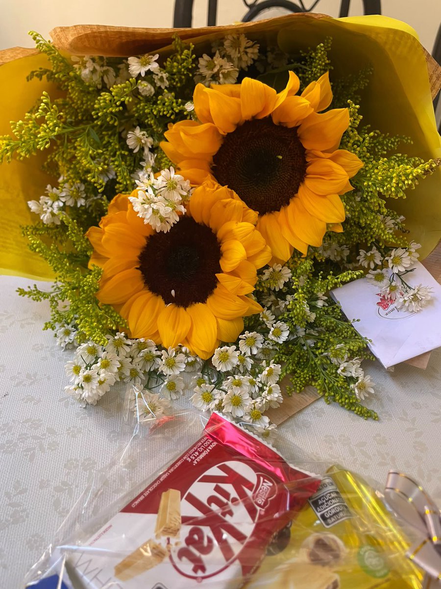 LoriiisL's tweet photo. Você veio pra ficar 🌻🥺🍀 https://t.co/xxK2kyEfwn