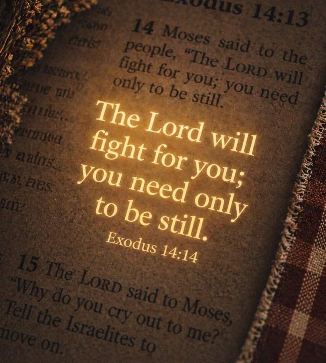 Bible365_'s tweet photo. https://t.co/4l8B9Al4Gg