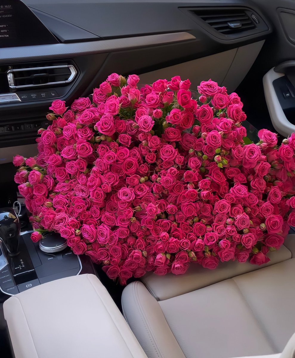 dreamyflowerrs's tweet photo. flowers https://t.co/OFkeG8qxVu