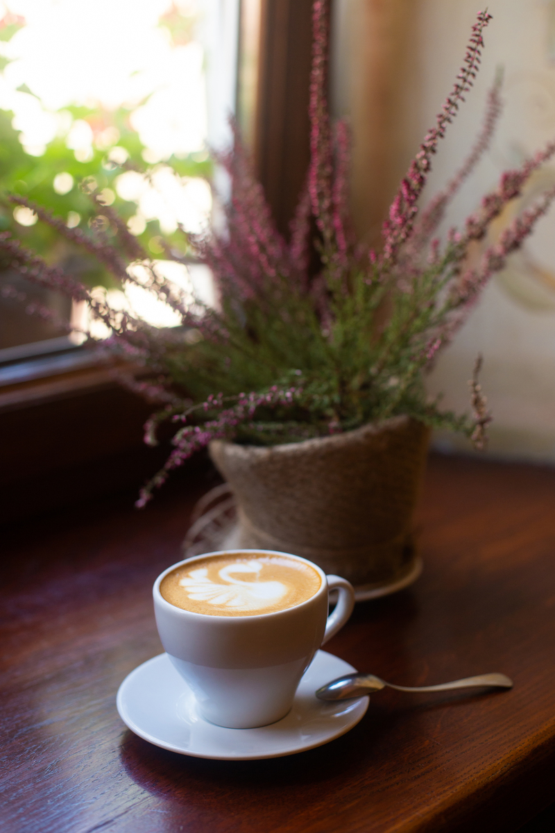 guyandre's tweet photo. [Autumn breeze + hot coffee = perfect cozy afternoon ]， https://t.co/SFcWZzv6Nd