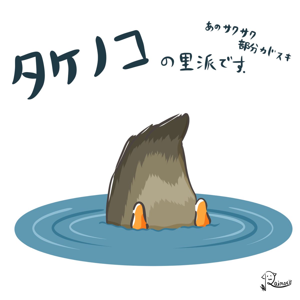 raimoco_'s tweet photo. 鴨さんが藻などを食べる時に
上半身を水中に潜らせる時があり…

その姿を「タケノコ」と呼ぶそうです🤭笑

おしりーーー！！！かわいいっっ！！

#ゆるいイラスト #鴨 #タケノコ https://t.co/dHoY3dgIWv