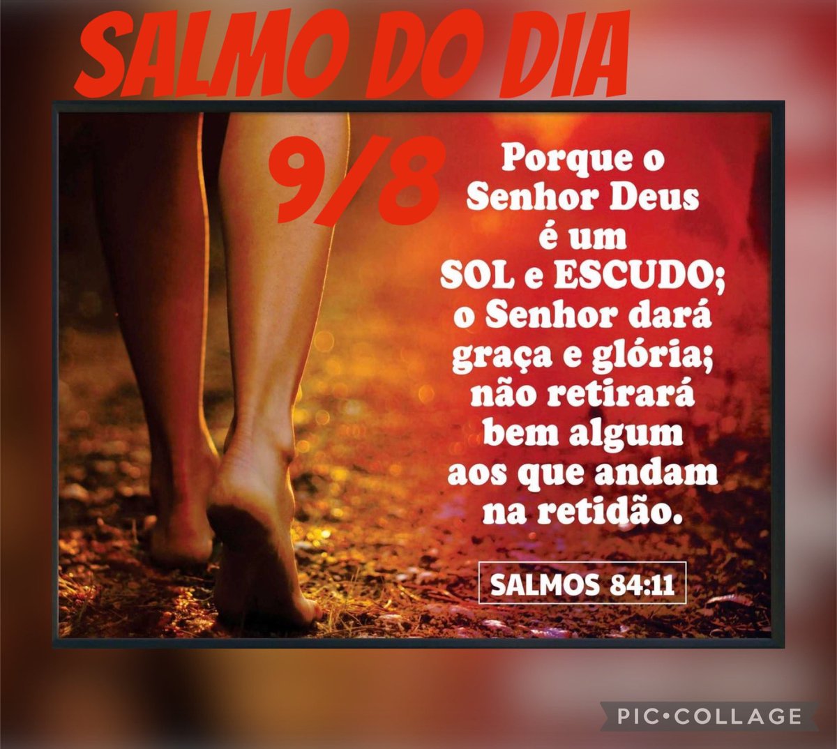 CatiaLemos1's tweet photo. https://t.co/211wC8uFNR