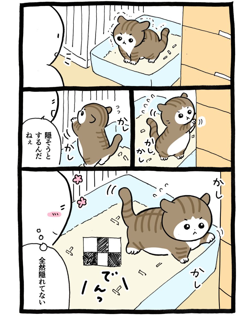 motoikuno's tweet photo. 【猫エッセイ漫画】🐈

トイレの後、一生懸命砂をかくチャチャ。
でも全然隠れてない😂

大福も隠さないので、結局にーにが2人分お片付け。
お兄ちゃんは大変だなぁ…😂

#猫漫画 #猫あるある #猫のいる暮らし #猫 https://t.co/q28cz7TVzg