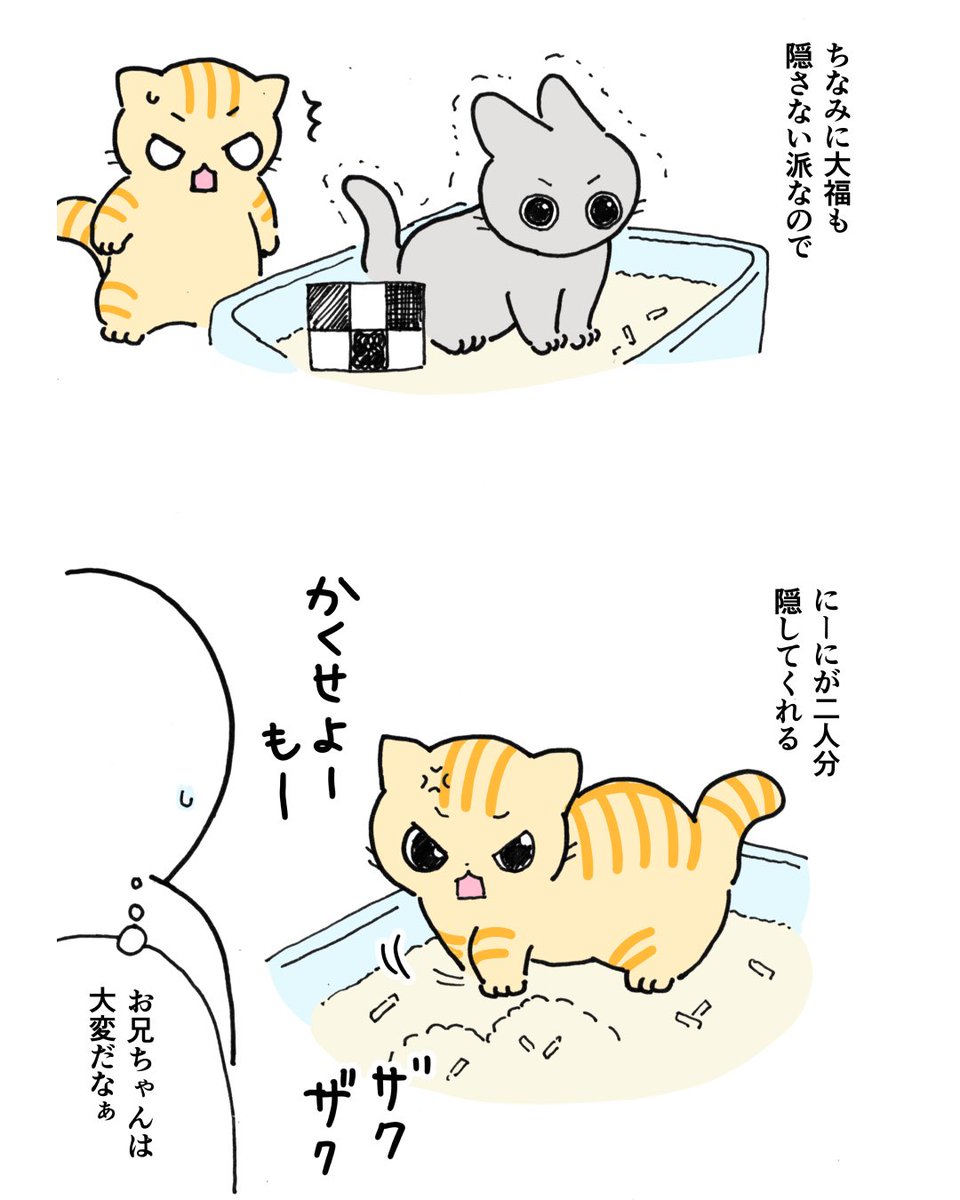 motoikuno's tweet photo. 【猫エッセイ漫画】🐈

トイレの後、一生懸命砂をかくチャチャ。
でも全然隠れてない😂

大福も隠さないので、結局にーにが2人分お片付け。
お兄ちゃんは大変だなぁ…😂

#猫漫画 #猫あるある #猫のいる暮らし #猫 https://t.co/q28cz7TVzg