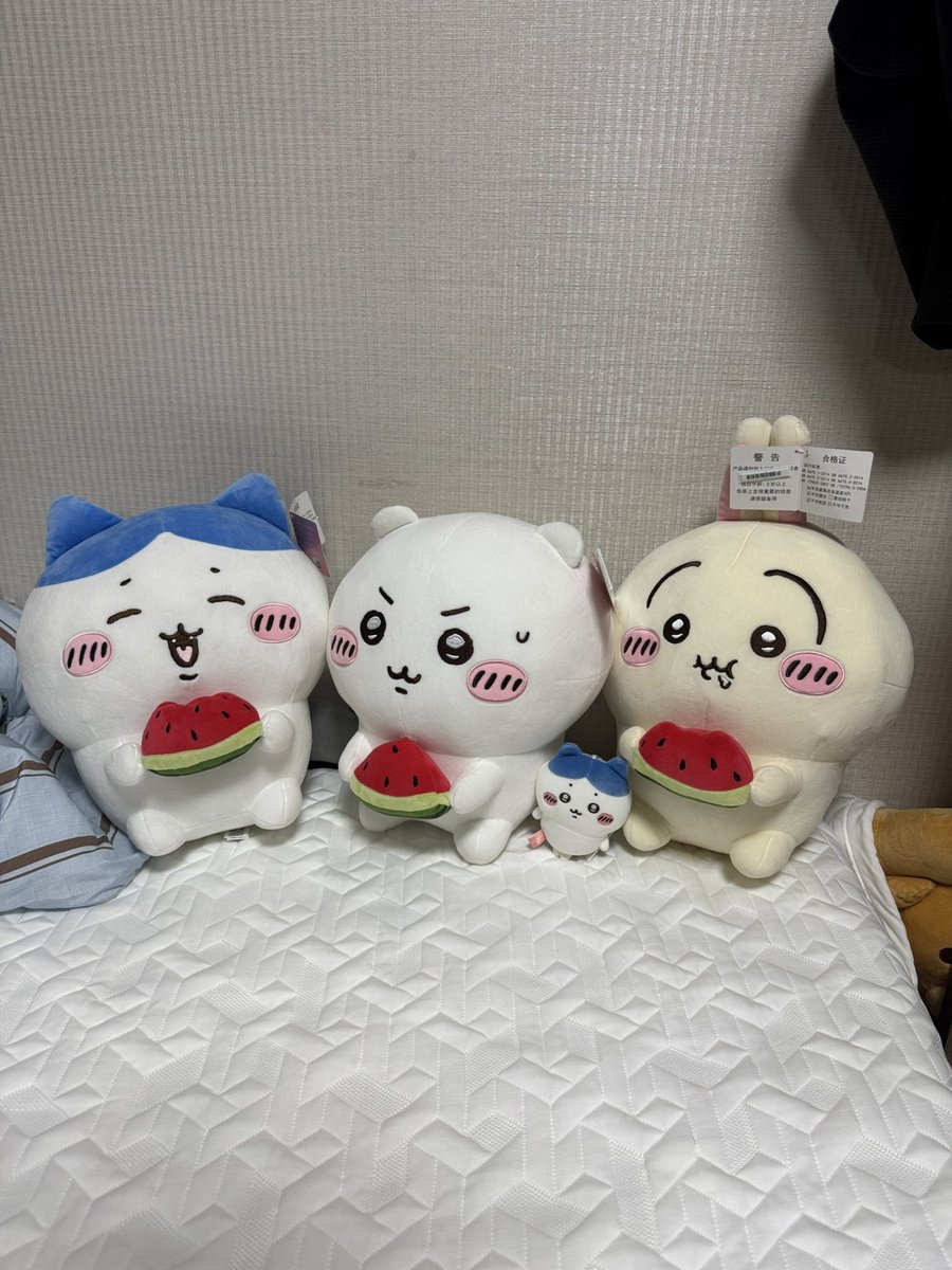 umm_7212's tweet photo. https://t.co/bZ4SGDFmtm