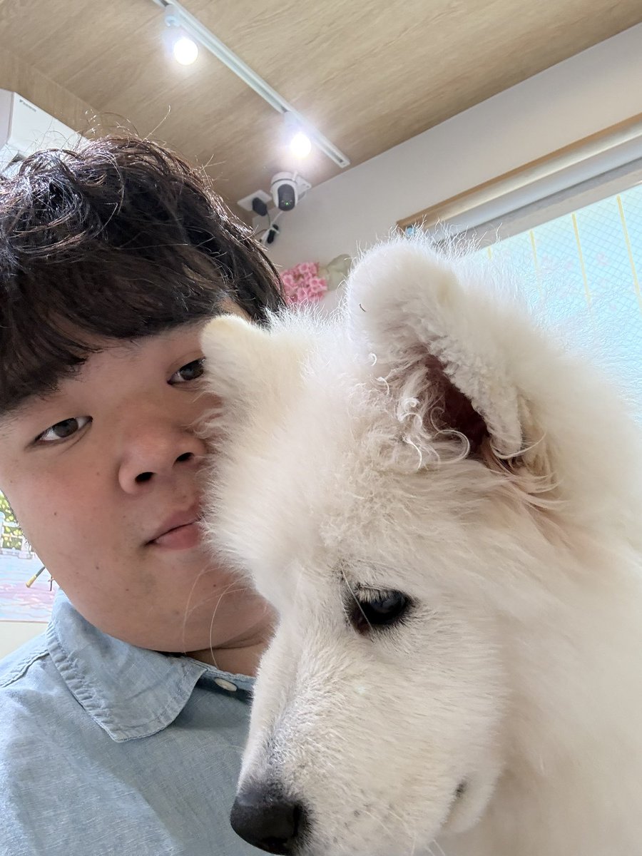 my937419's tweet photo. 癒されてきた〜😌 https://t.co/pjeIM1icyV