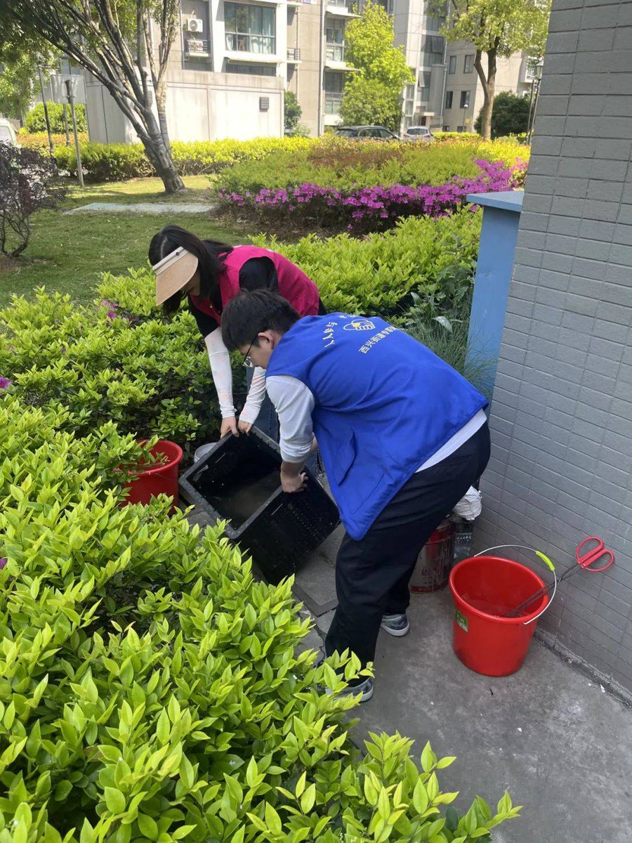 pr67978's tweet photo. Join our community garden clean-up this Sat (9am-12pm)! All tools provided, bring a water bottle—let’s spruce up our green space together! https://t.co/hwqeGJrY4M