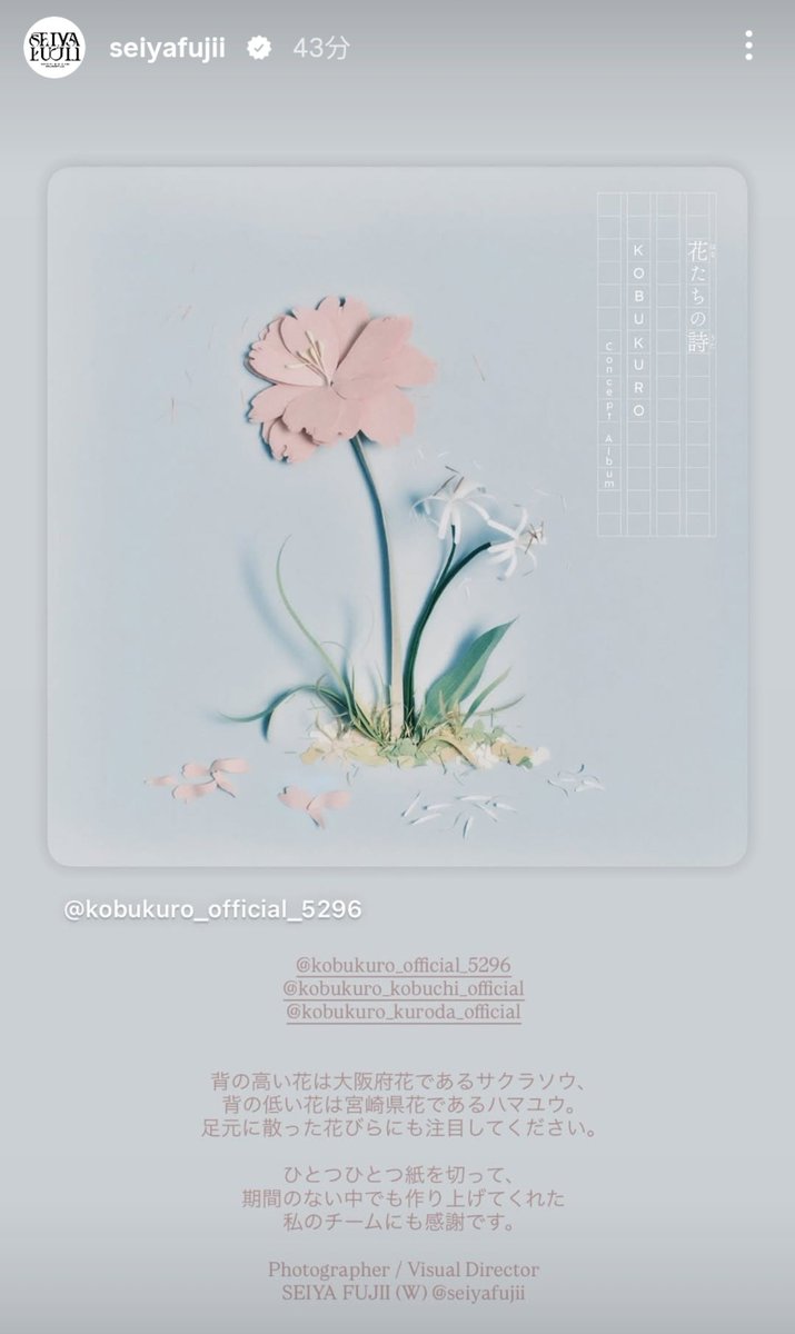 5296mmj's tweet photo. よく見たら地面に散った花びらの枚数が
5、2、9、6では？！？！？！
花のチョイスもデザインも、オタクを喜ばせるのが上手すぎる😭
フジイさんいつもほんとありがとうございます……足向けて寝れないや……🙏 https://t.co/C30VS6ouAV