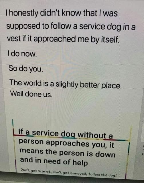 woofknight's tweet photo. https://t.co/wg7kVIHTH3